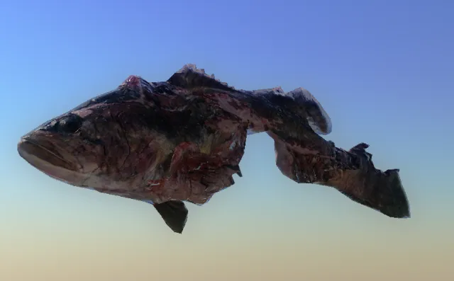 p_bearkillremains01x