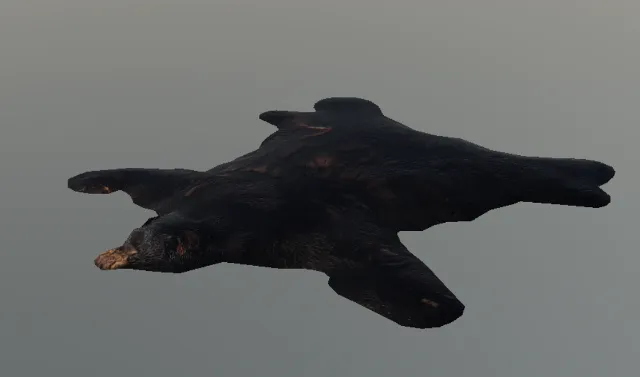 p_bearskin01x