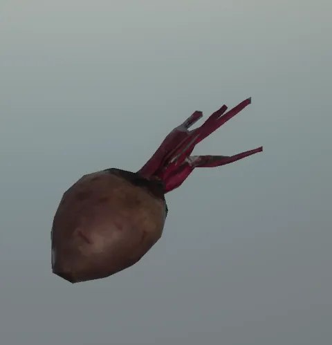 p_beet_01x