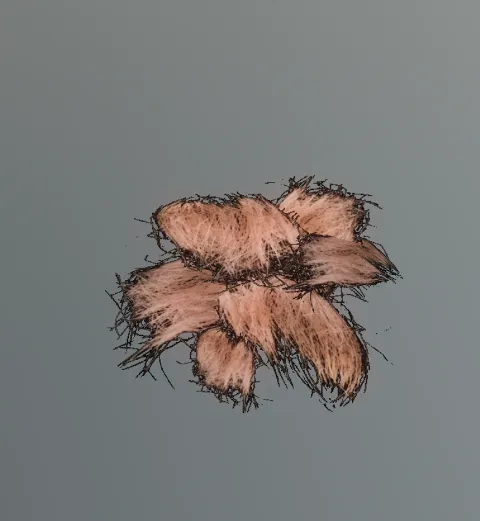 p_bighorntufts01x