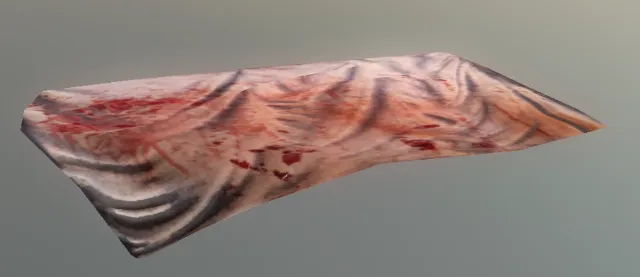 p_bloodytablerag01x