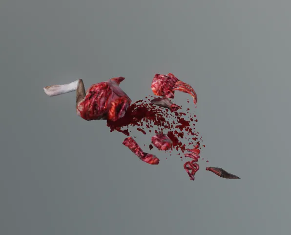 p_bobcatkillremains01x