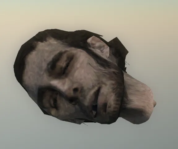 p_bodyparthead01x