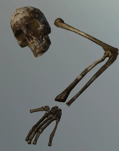 p_boneshuman01