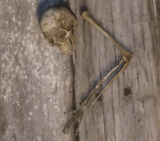 p_boneshuman01x