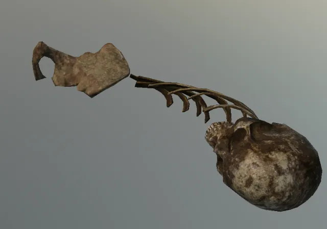 p_boneshuman03x