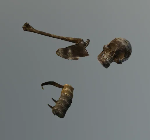 p_boneshuman04x