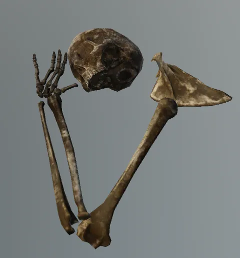 p_boneshuman05x