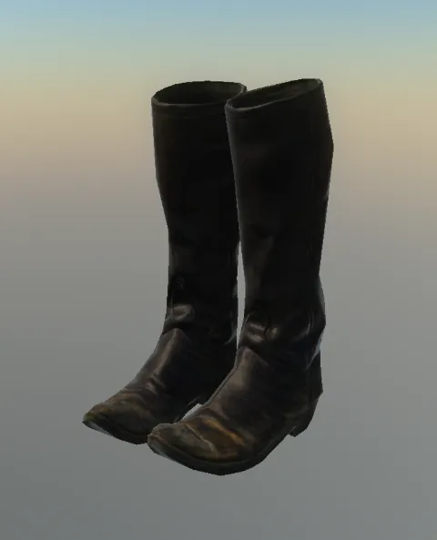 p_bootsconfed01x
