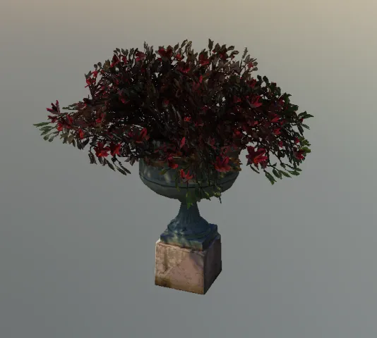 p_bowlplantbra01x