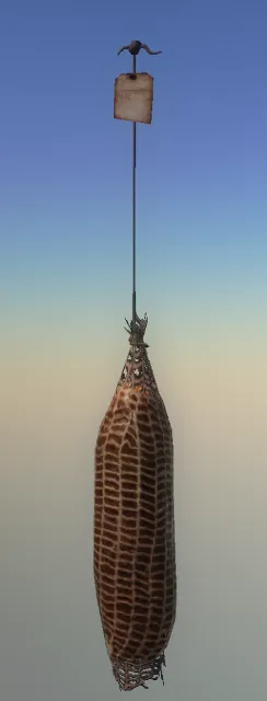 p_capicola_meat_b03x