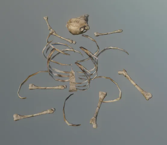 p_carcassbonestoad01x