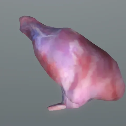 p_carcassverysmallfloat01x
