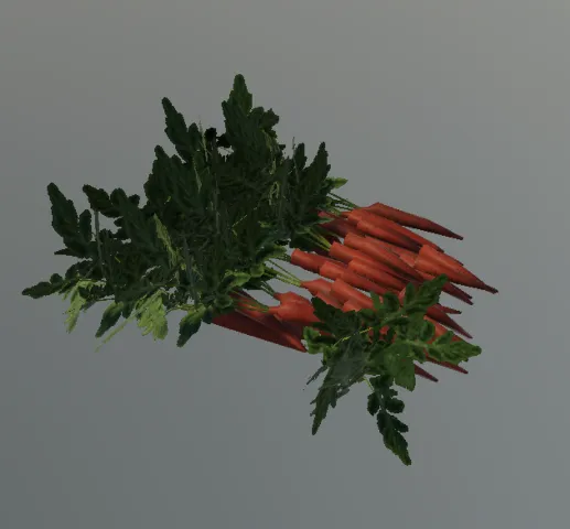 p_carrot03x