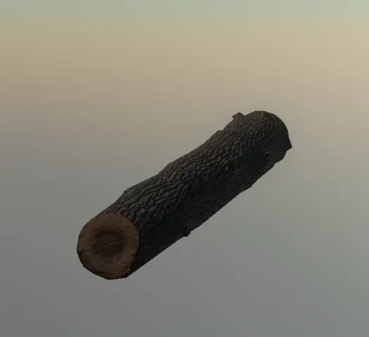 p_cedar_log_03x