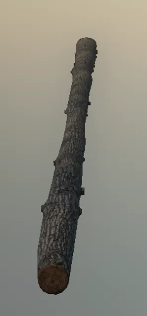 p_cedar_log_07x