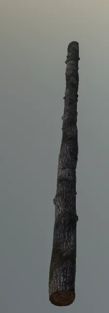 p_cedar_log_09x