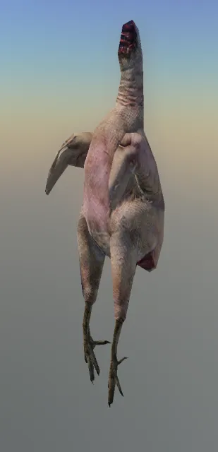 p_chicken01x