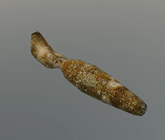 p_corn01bx