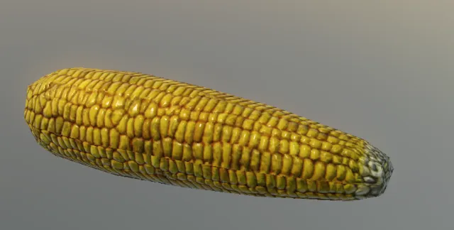 p_corn01x