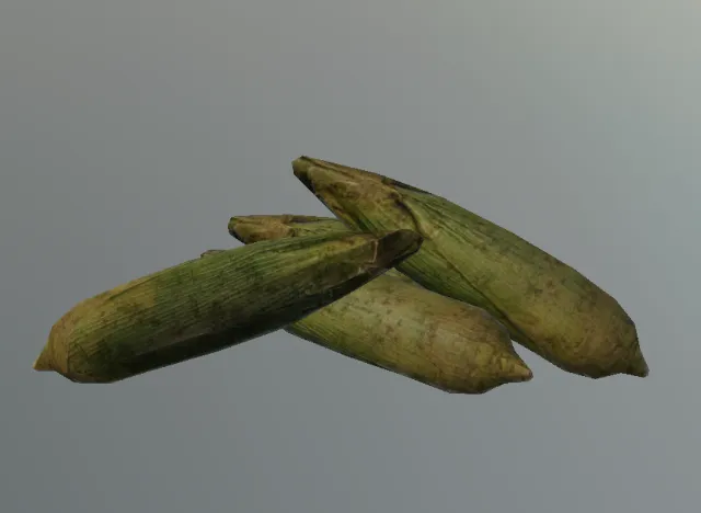 p_corn02group01x