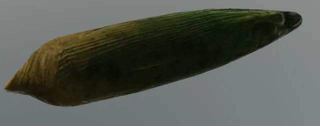 p_corn02x