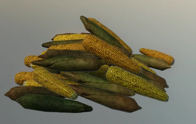 p_corn03x