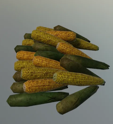 p_corn04x