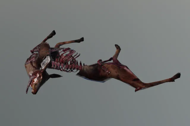p_cougarkillremains01x
