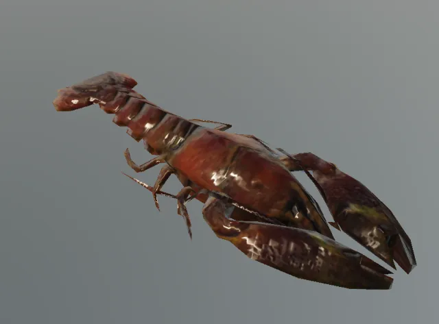 p_crayfish01x