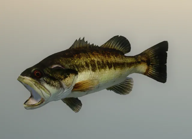 p_cs_basfishonthewal01x
