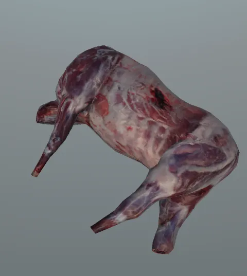 p_cs_carcasselk01x