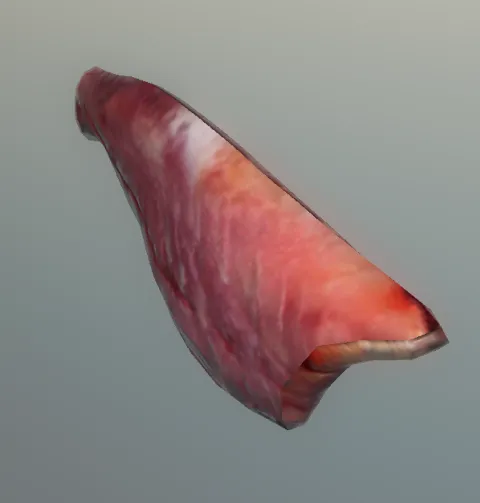 p_cs_catfish_whole01bx