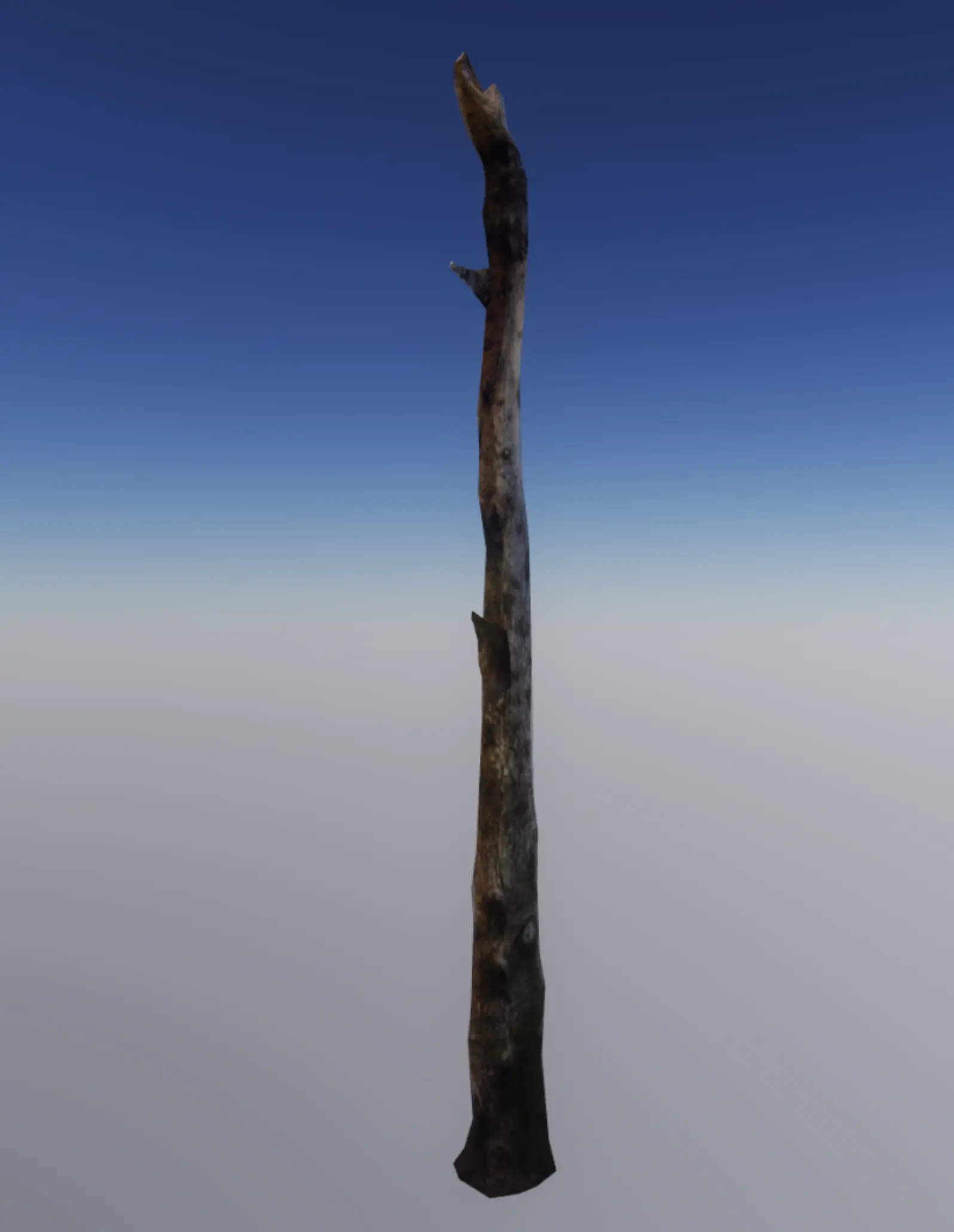 p_cs_deadtree01x