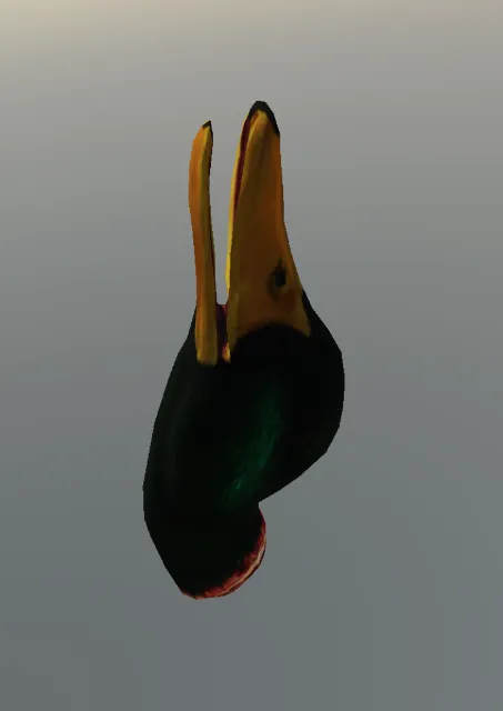 p_cs_duck_head