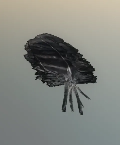 p_cs_eaglefeather03x