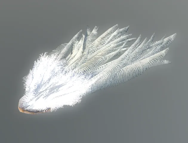 p_cs_egretplumes01x