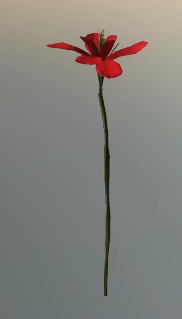 p_cs_flowers01x_single