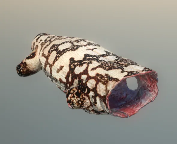 p_cs_gilamonsterpelt01x