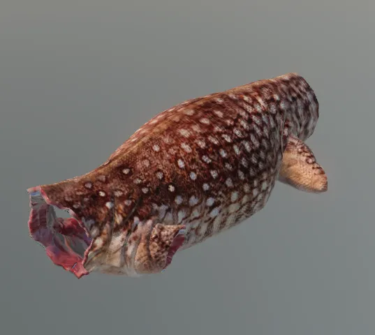 p_cs_iguanapelt
