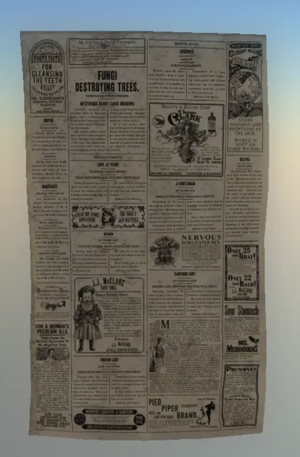 p_cs_newspaper_01x