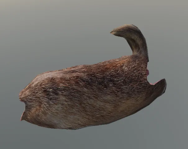 p_cs_pelt_med_badger