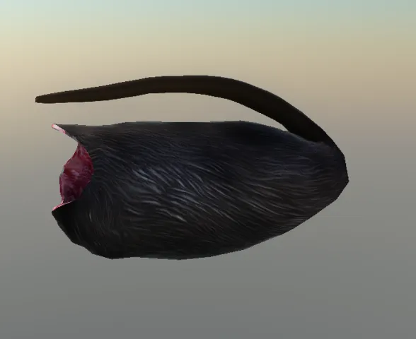p_cs_pelt_med_possum