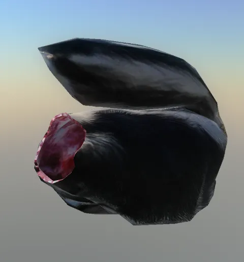 p_cs_pelt_med_skunk