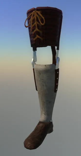 p_cs_prostheticleg_01bx