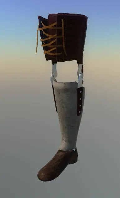 p_cs_prostheticleg_01x