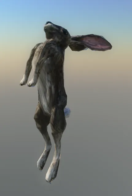 p_cs_rabbit01x