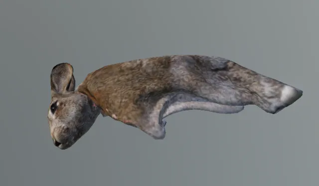 p_cs_rabbitfeetless