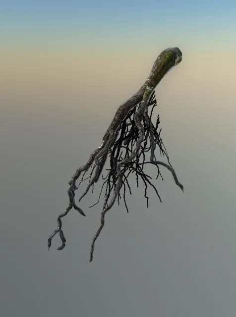 p_cs_roots_01x
