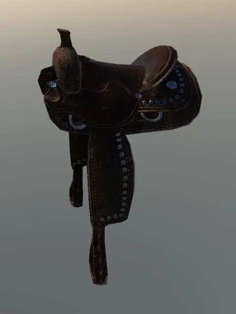 p_cs_saddle02x